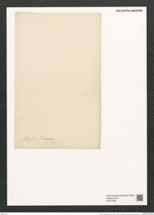 Fragilaria elliptica Schum. (de-Toni-Nr.: Genus 73, Species 2731) Zeichnungen Sammlung Grunow (NHMW-BOT-W0374049)